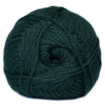 024 Bottle Ch4ply
